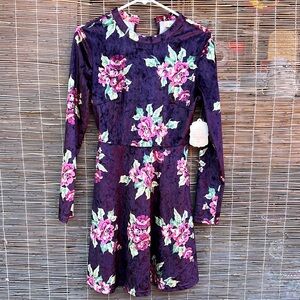 Altered state NWT size Small velvet dress